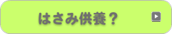 はさみ供養？