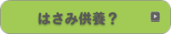 はさみ供養？